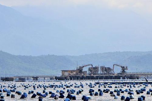 Xử lý dứt điểm tình trạng nuôi trồng thủy sản lấn chiếm vịnh Cam Ranh