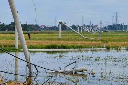 Thanh Hóa: Loạt cột điện gãy đổ do mưa dông đã được khắc phục
