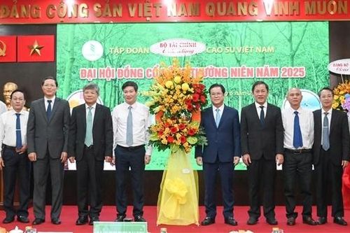 VRG chia cổ tức 1.600 tỷ đồng năm 2024