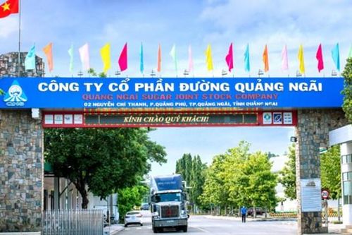 Đường Quảng Ngãi (QNS) giảm mục tiêu lợi nhuận 2025, dồn lực cho các đại dự án gần 4.000 tỷ đồng