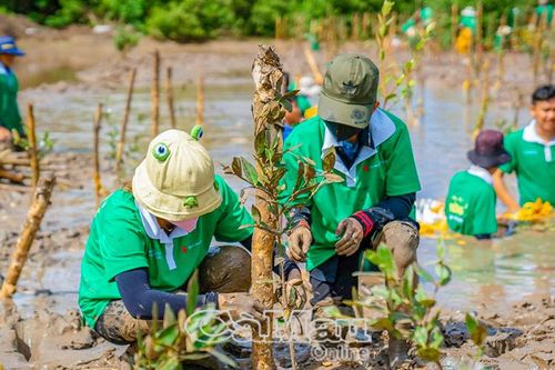 Tham vấn cộng đồng cho Dự án carbon tiêu chuẩn Vàng vì phát triển bền vững