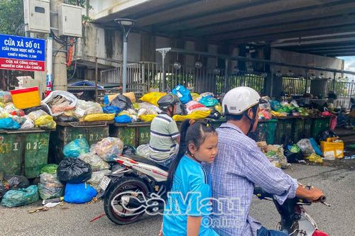 TP Cà Mau tồn đọng 70 tấn rác do nhà máy ngưng hoạt động chờ đơn giá mới