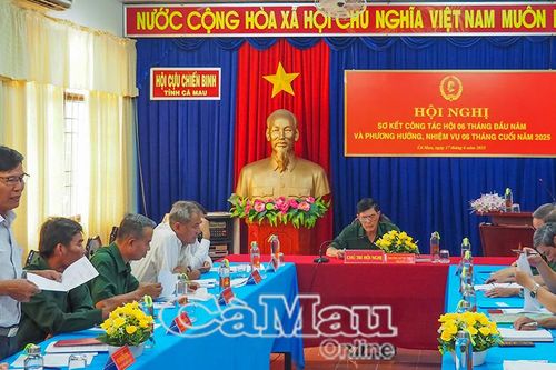 Cựu chiến binh gương mẫu thực hiện tốt các phong trào thi đua