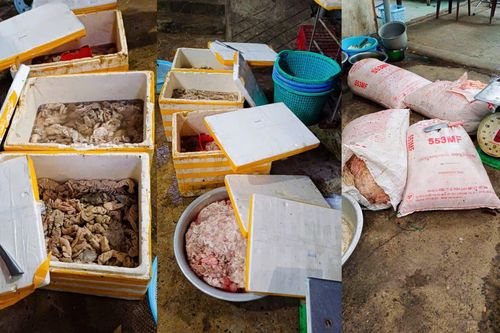 Phạt cơ sở kinh doanh gần 3,5 tấn nội tạng động vật không rõ nguồn gốc