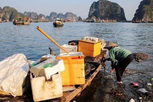 Dùng trí tuệ nhân tạo 'chỉ điểm' vùng ô nhiễm ở Vịnh Hạ Long