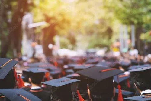 16 đại học Việt Nam 'lên sóng' BXH ảnh hưởng toàn cầu THE Impact Rankings 2025