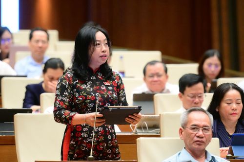 ĐBQH: 'Giá điện tăng 17%, lương mới tăng 6%, lấy đâu ra tiết kiệm'