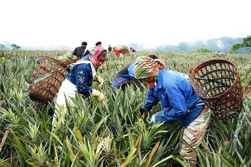 Học và làm theo Bác bằng nhiều mô hình sáng tạo