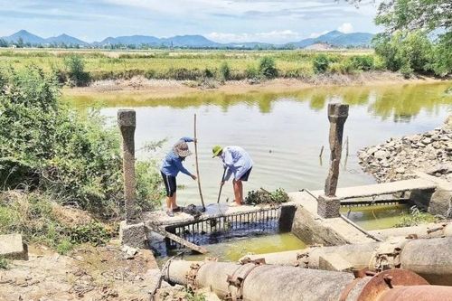 Trung Bộ nắng nóng kéo dài đến tháng 8, nguy cơ thiếu nước sản xuất vụ hè thu