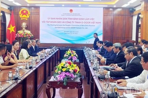 Bình Định phát triển dự án sản xuất hydro và năng lượng tái tạo tại Việt Nam
