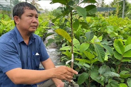 Bến Tre tất bật vào mùa sản xuất cây giống