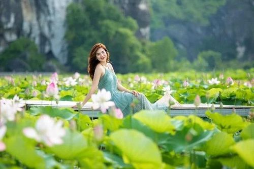 Rủ nhau về Hang Múa 'săn' mùa sen đẹp như tranh vẽ