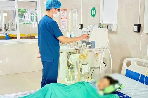 Bé gái ở Ninh Bình bị rắn độc chui từ điều hòa ra cắn