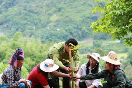 Lễ phát động trồng rừng hưởng ứng Ngày Quốc tế chống Sa mạc hóa và Hạn hán 17/6