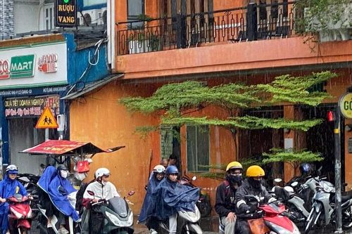 TPHCM sắp có nhiều biến động thời tiết, chịu ảnh hưởng 4–7 cơn bão và áp thấp nhiệt đới