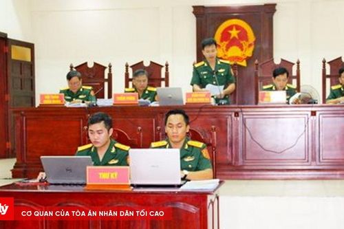 Xét xử vụ Công ty Cadovimex lừa đảo chiếm đoạt vốn của nhiều ngân hàng