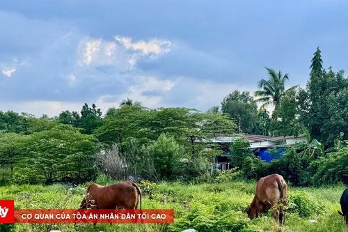 Một đoạn Vành đai 2 TP.HCM đứng trước cơ hội 'hồi sinh'
