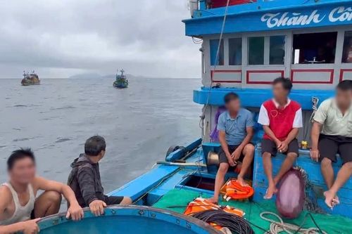 Chìm tàu cá, thuyền trưởng và 10 ngư dân cầu cứu khẩn cấp