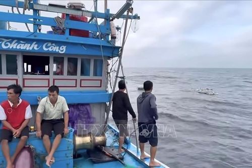 Cứu được toàn bộ thuyền viên vụ chìm tàu cá trên vùng biển Lý Sơn