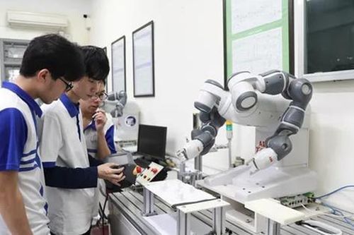 Việt Nam có 16 cơ sở đại học lọt BXH trường có tầm ảnh hưởng thế giới