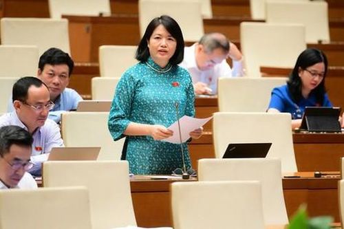 Đại biểu Quốc hội lo ngại tình trạng lợi dụng không gian mạng để xâm hại trẻ em
