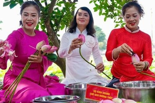 Trải nghiệm ướp trà sen theo công thức của nghệ nhân