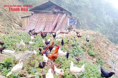 Người Mông làm sản phẩm OCOP
