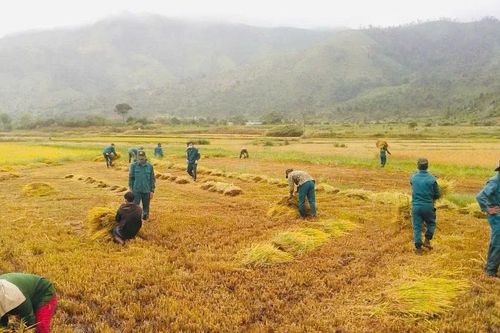 Chư Păh lan tỏa sâu rộng phong trào học và làm theo Bác