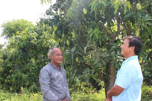 Cam Lâm: Phát huy vai trò người có uy tín vùng đồng bào dân tộc thiểu số trong phát triển kinh tế