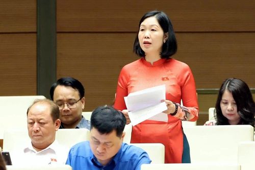 Đại biểu Nguyễn Thị Lan Anh đề xuất 4 nhóm kiến nghị về y tế