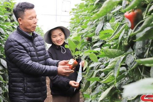 Nông nghiệp thông minh vì thế hệ tương lai