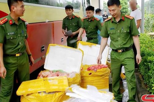 Thu giữ 476 kg nội tạng động vật vận chuyển trên xe khách