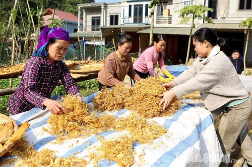 Na Hang tập trung xây dựng sản phẩm đặc sản của địa phương