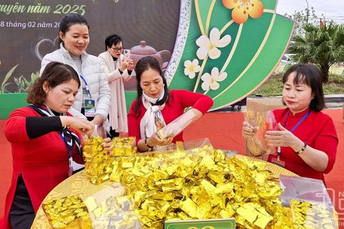 Chè Thái Nguyên chinh phục thị trường thế giới - Kỳ 1: Những lợi thế vượt trội