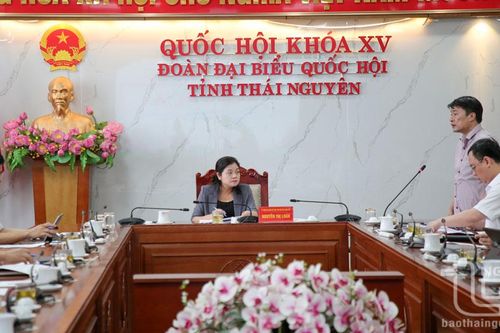 Tập trung hoàn thành dự thảo báo cáo giải quyết kiến nghị của cử tri