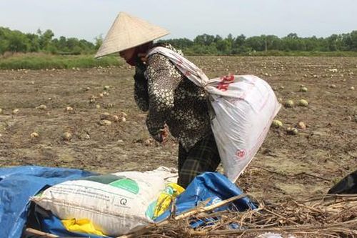 Mưa lũ dị thường gây thiệt hại nặng, Quảng Trị công bố tình huống khẩn cấp thiên tai