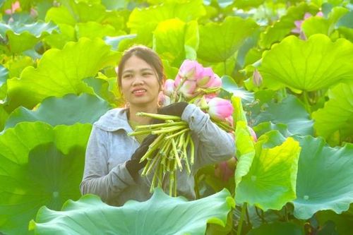 Sở hữu trí tuệ giúp HTX nâng tầm nông sản địa phương