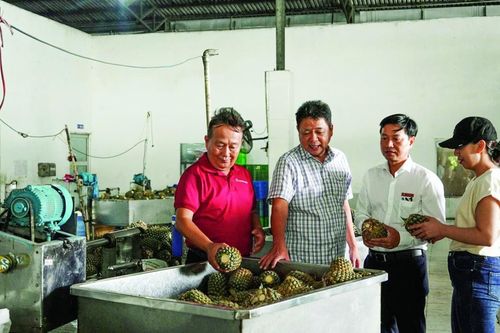Agribank Vĩnh Long - Điểm tựa tài chính cho nông nghiệp hiện đại và hội nhập