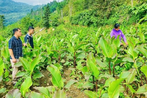 Mở hướng phát triển nông nghiệp sạch, an toàn, bền vững