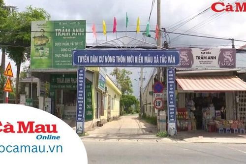 Chung tay vì an sinh
