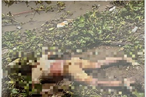 Tìm thân nhân của thi thể trôi trên sông Sài Gòn đoạn cư xá Thanh Đa
