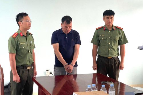 Khai thác trái phép 800.000 m3 đất, giám đốc doanh nghiệp ở Bắc Giang bị bắt