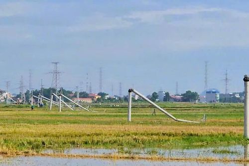 Dông lốc ở Thanh Hóa làm hàng loạt cột điện gãy đổ