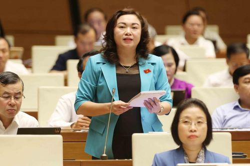 Hiện thực hiện hóa mục tiêu phát triển doanh nghiệp, thúc đẩy phát triển kinh tế tư nhân