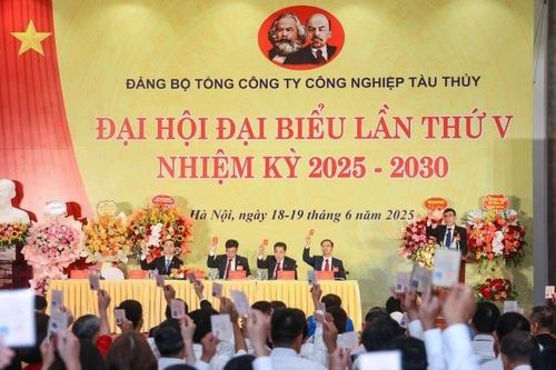 Ngành đóng tàu triển khai tái cơ cấu, ổn định sản xuất các nhà máy chủ lực
