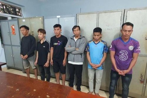 Bắt nhóm 'yêu râu xanh'