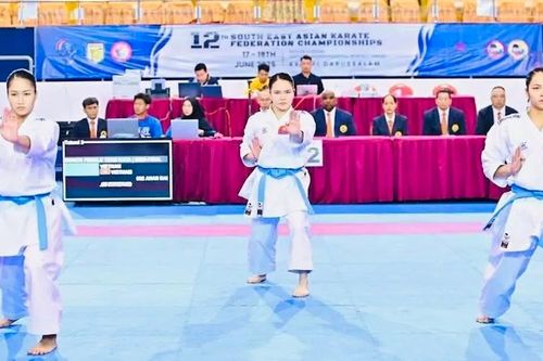 Đội tuyển karate Việt Nam đã giành 25 HCV tại giải Đông Nam Á 2025