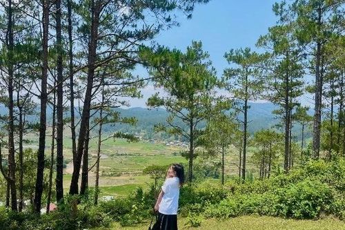 Hè 2025, Gen Z chuộng tour 'ẩn cư, sống chậm' vắng người