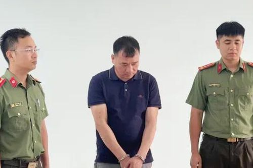 Bắt giám đốc công ty khai thác trái phép hơn 800.000 m3 đất san lấp