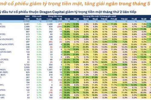 Thị trường tháng 5/2025: Quỹ đầu tư nới lỏng 'phanh' - Niềm tin đang trở lại?